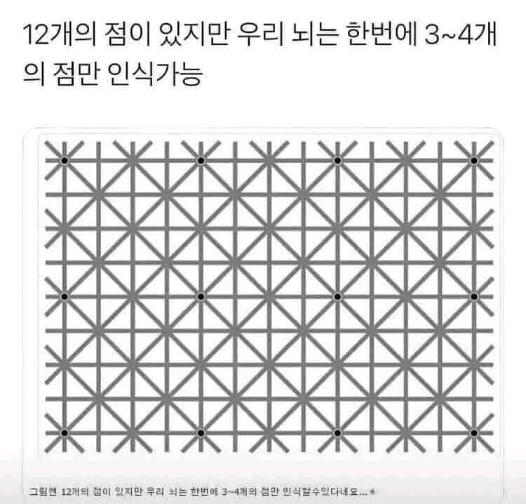 c8dd041cfd6d267f1ef0274a1e48b6a6309d8ca4.jpg