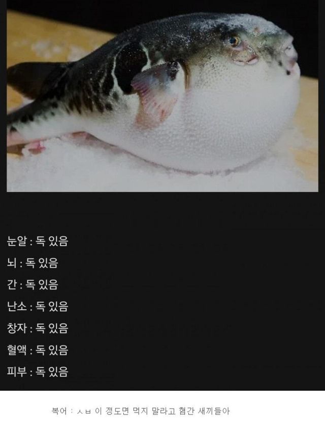 Internet_20220321_051844.jpeg