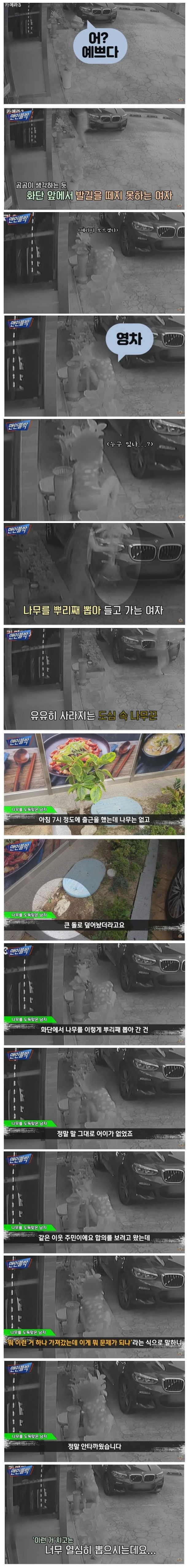 웹 캡처_8-8-2022_15055_m.bboom.naver.com.jpeg