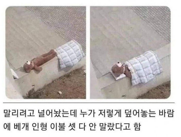 곰돌이.png