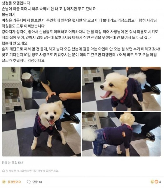 웹 캡처_6-10-2022_83929_m.bboom.naver.com.jpeg
