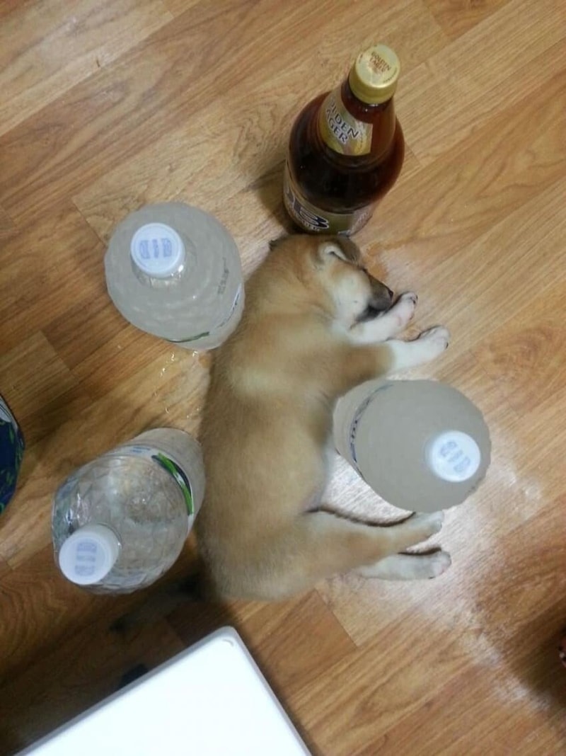 1_2.jpg