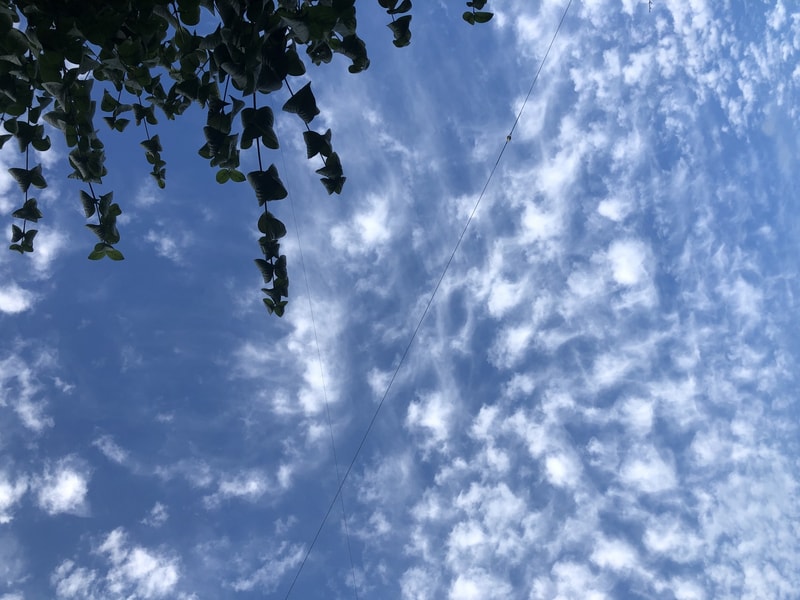 5588C420-D41C-4D85-B176-103FC8D78155.jpeg