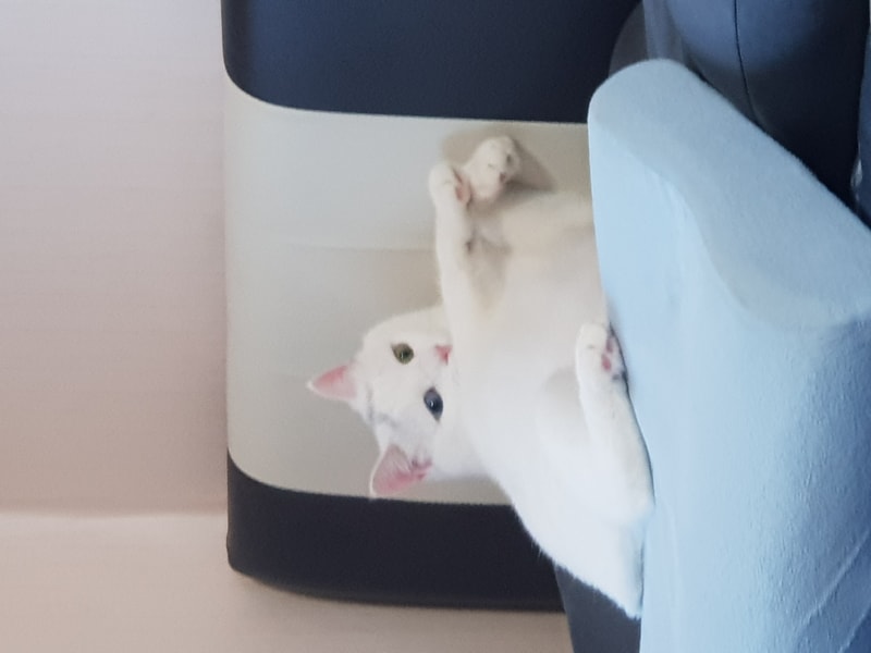 20190207_165915.jpg