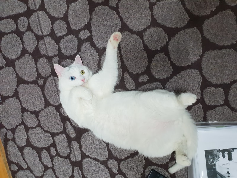 20181216_155742.jpg