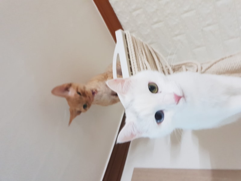 20181027_170416.jpg
