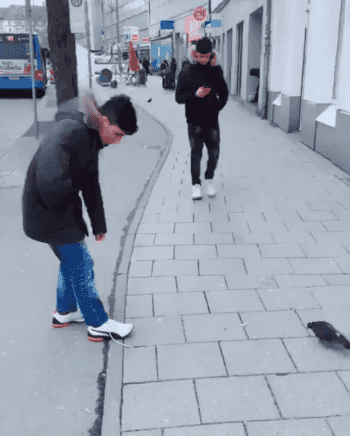 1(1).gif