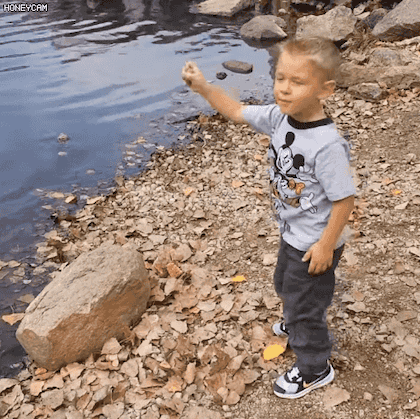 1645382405.gif