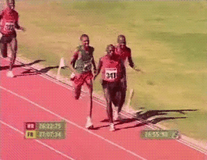 baseball_new8-20190722-205342-006-resize.gif