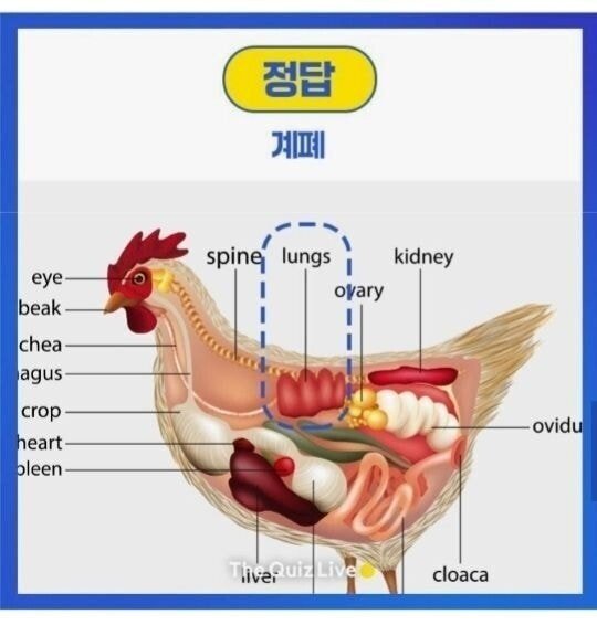 내2.jpg