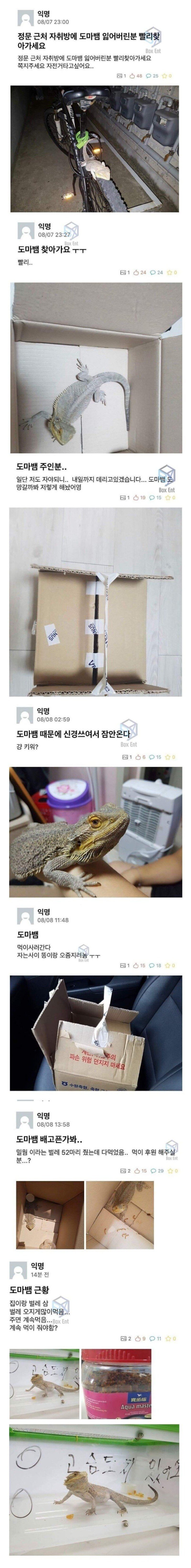 A2D44B4C-DC8E-4EFE-88C7-CACC08E351A1.jpeg