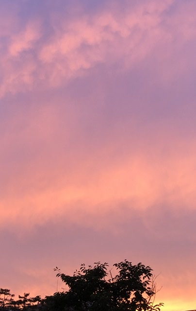 18D580B6-F8F6-4EA6-A89B-74A864D4F7F2.jpeg