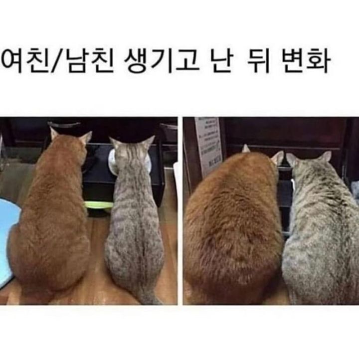 애인_생긴후_몸의_변화.jpg