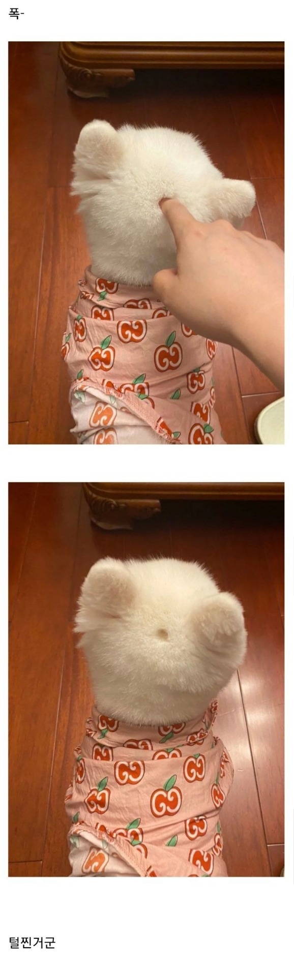 웹 캡처_22-11-2022_114725_m.bboom.naver.com.jpeg