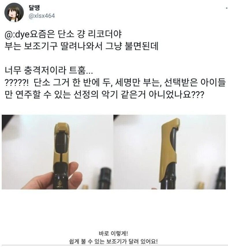요즘_초등학교_단소_근황.jpg