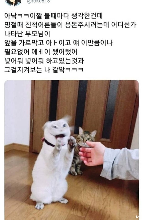 다운로드파일-2135.jpg