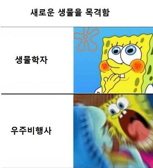 08.jpg