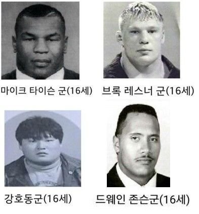 14.jpg