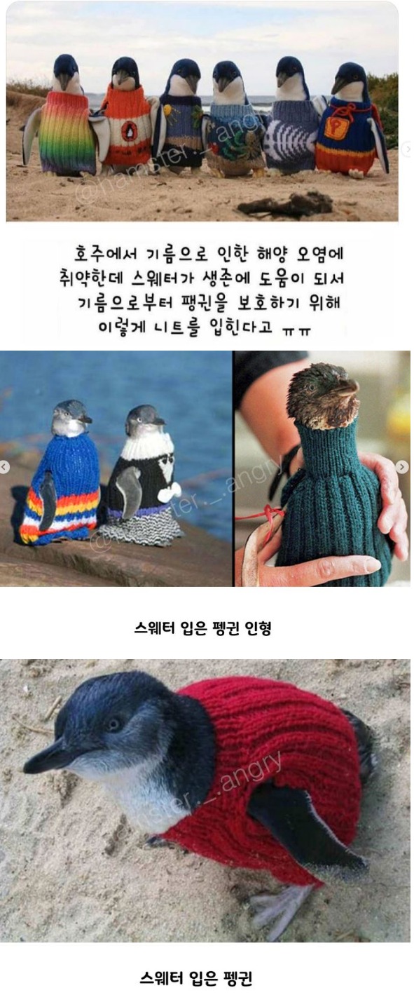 웹 캡처_14-12-2022_9014_m.bboom.naver.com.jpeg