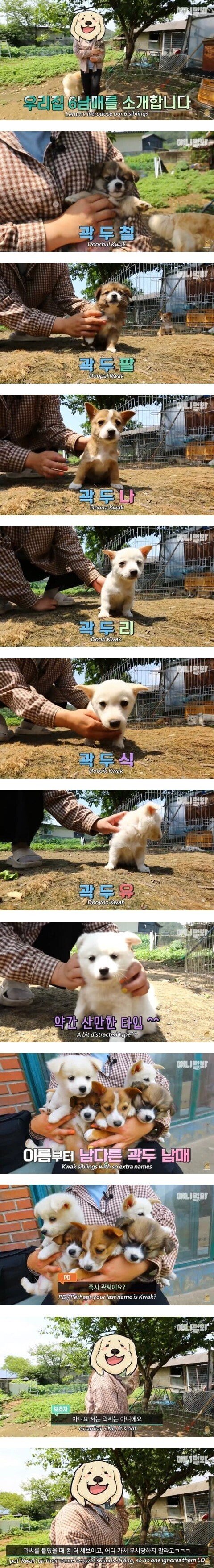 어디_가서_무시당하지_말라고_지어준_이름.jpg