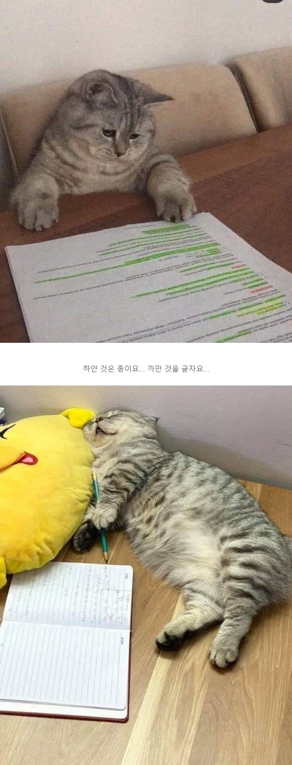웹 캡처_19-12-2022_164428_m.bboom.naver.com.jpeg