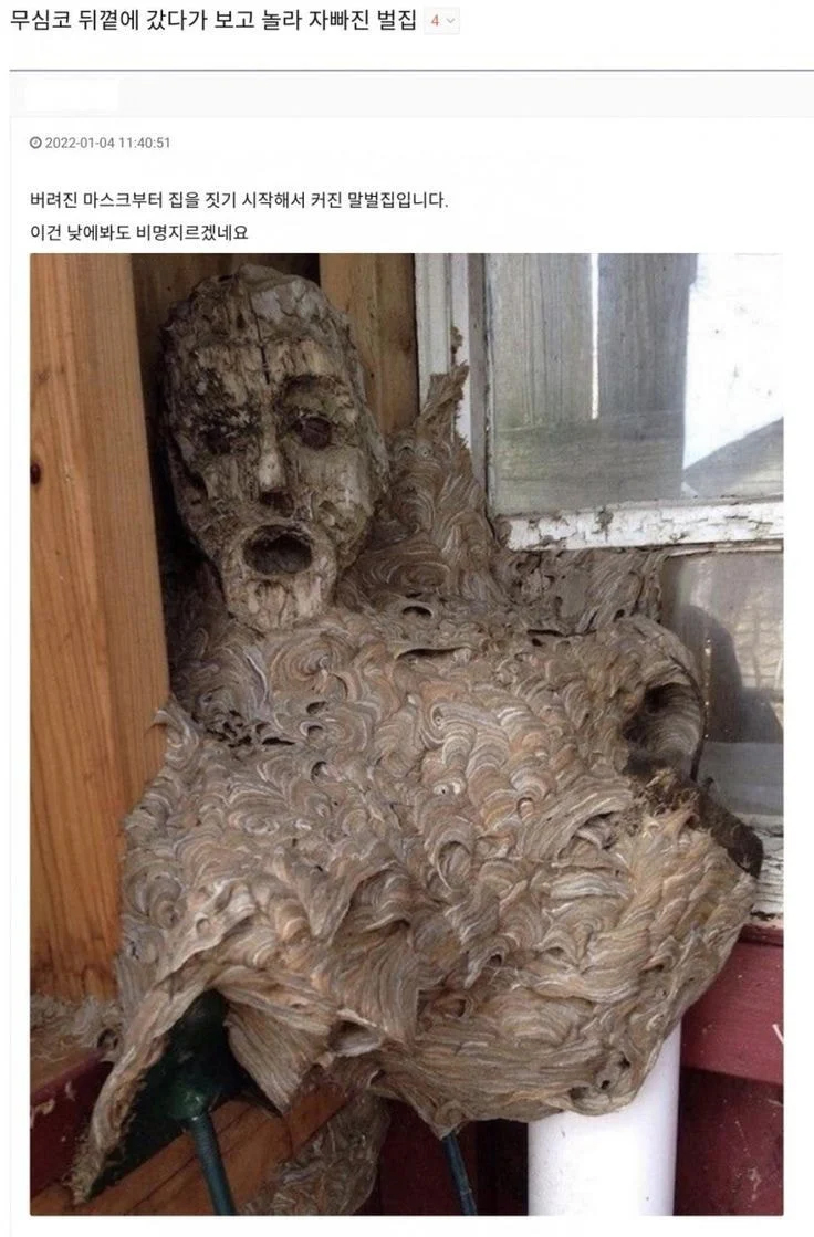 Untitled-6.jpg