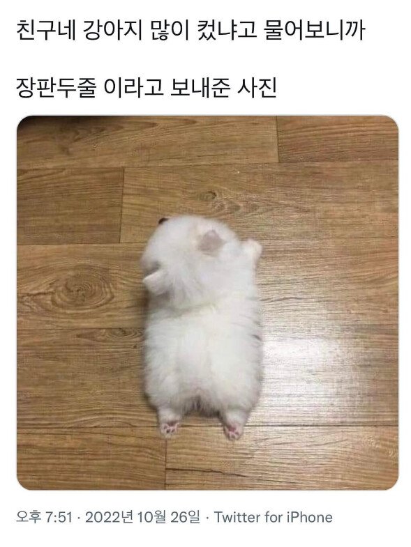 친구네 강아지 많이 컸냐고 물어보니까.jpg