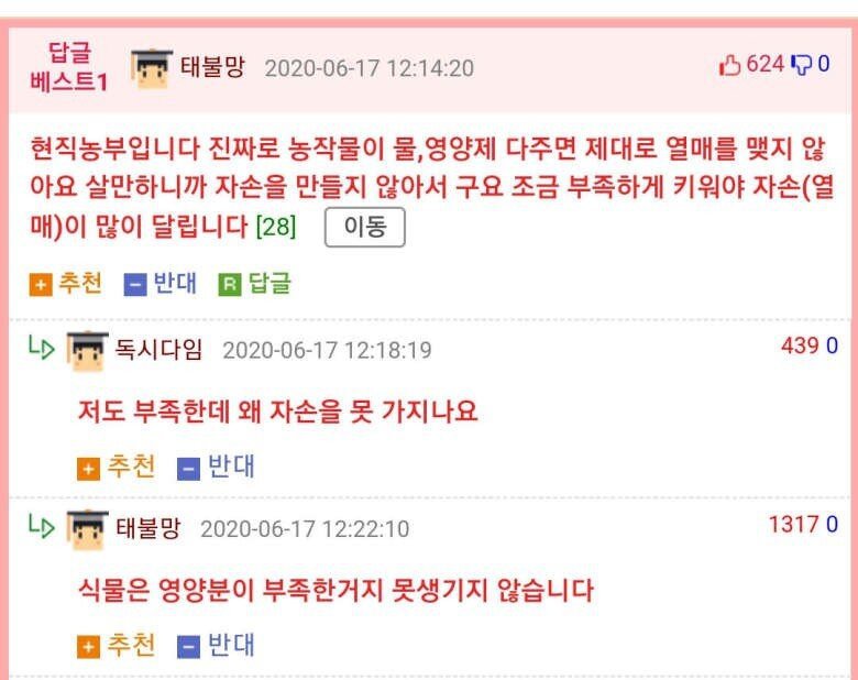 농부의_팩트폭행_1.jpg