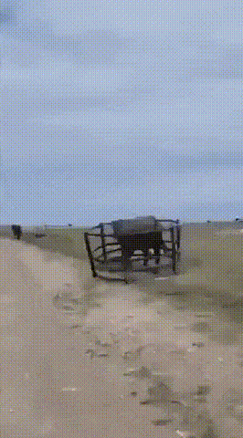 32256816857877790.gif
