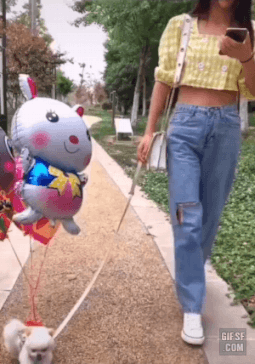 externalFile.gif