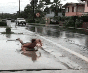 KakaoTalk_20190201_133709830.gif