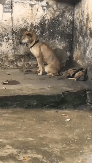 6WJKR5w.gif