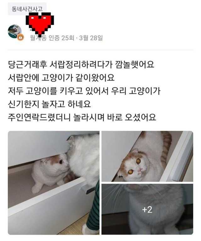 Internet_20220417_054546.jpeg