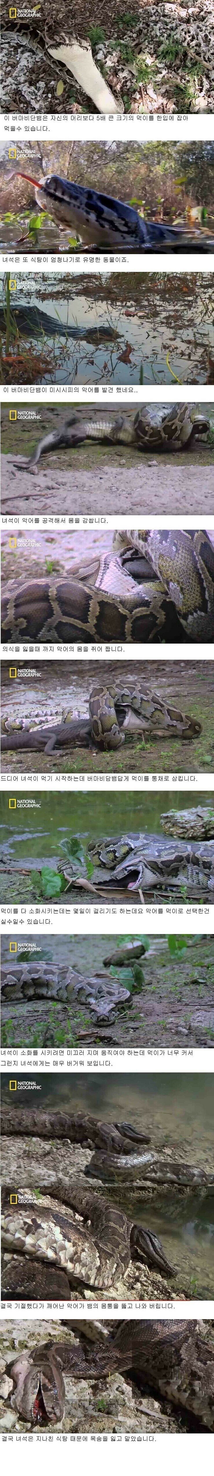 Internet_20220711_224733.jpeg