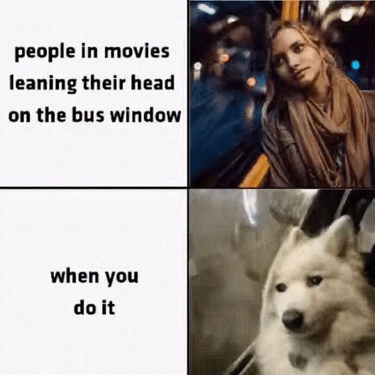 img.gif