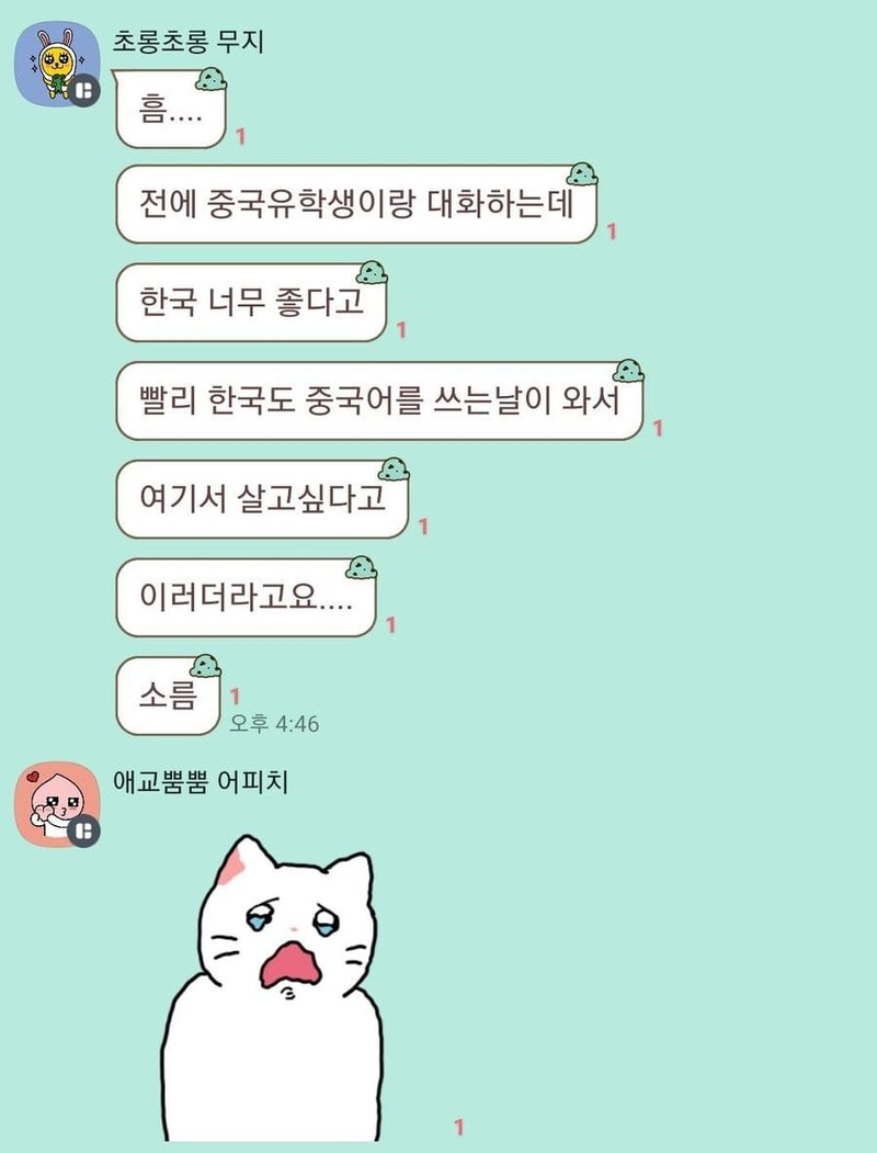 한국이_너무_좋았던_중국인_유학생.jpg