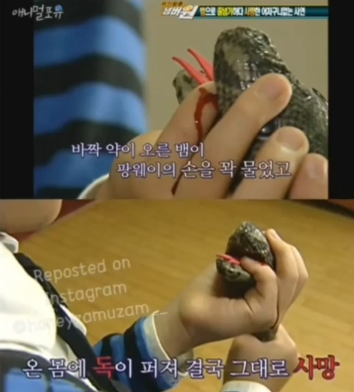 줄넘기_하던_초등학생_사망.jpg