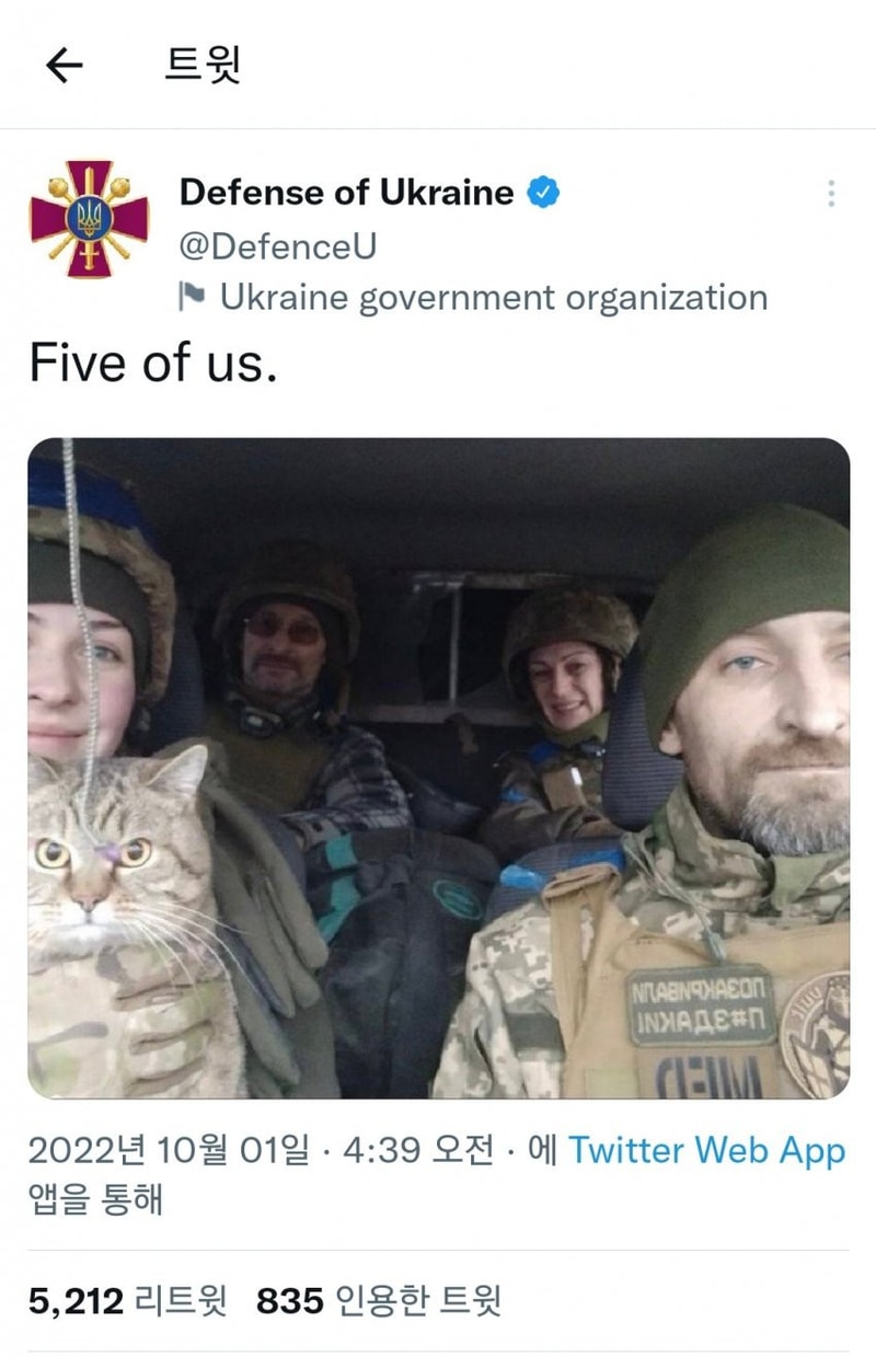 16646213303772.jpeg