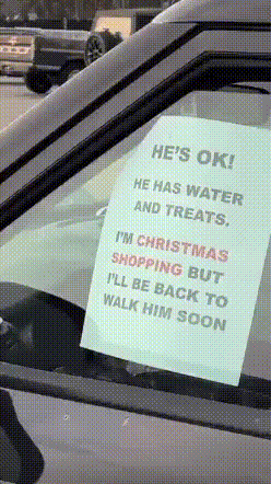 img.gif
