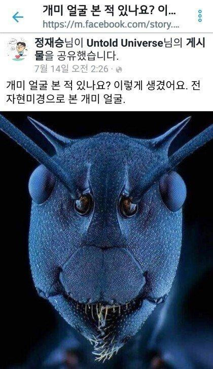 16665357276306.jpeg