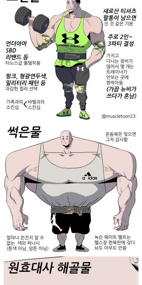 헬스장 등급표2.jpg