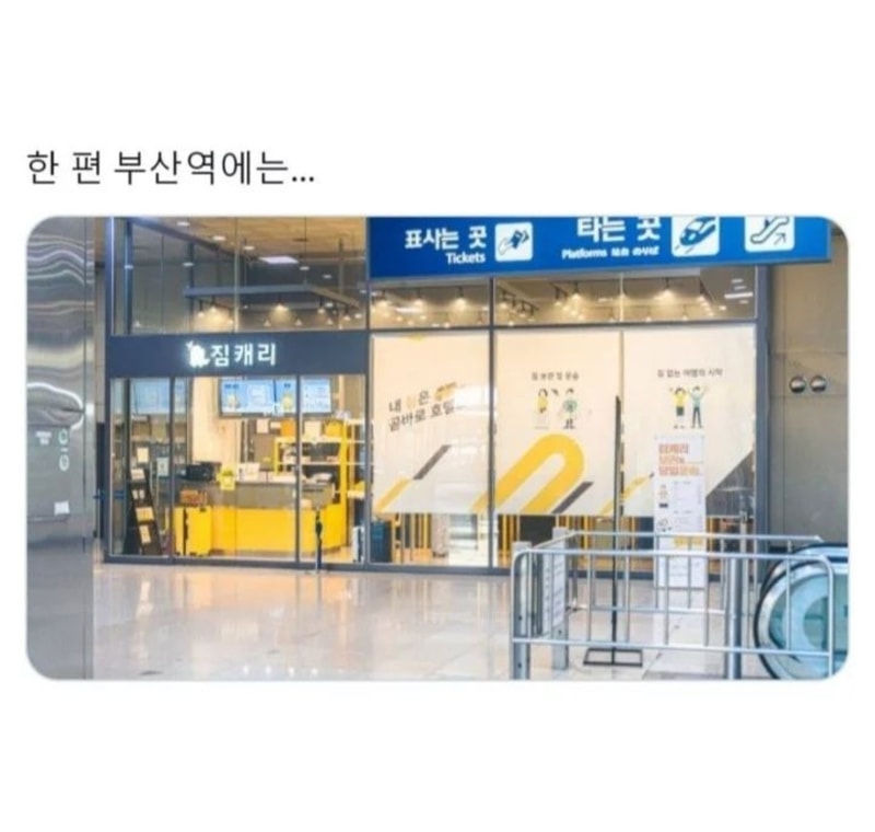 작명의 민족3.jpg