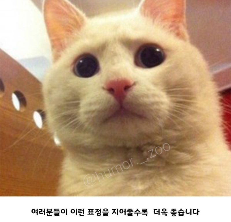 매4.jpg