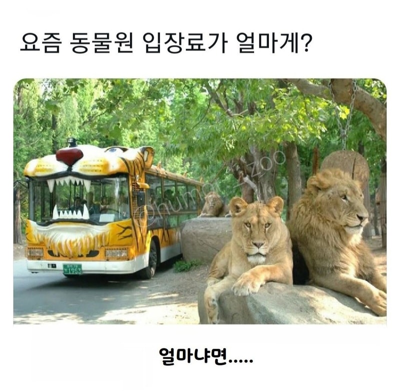 동물원 입장료.jpg