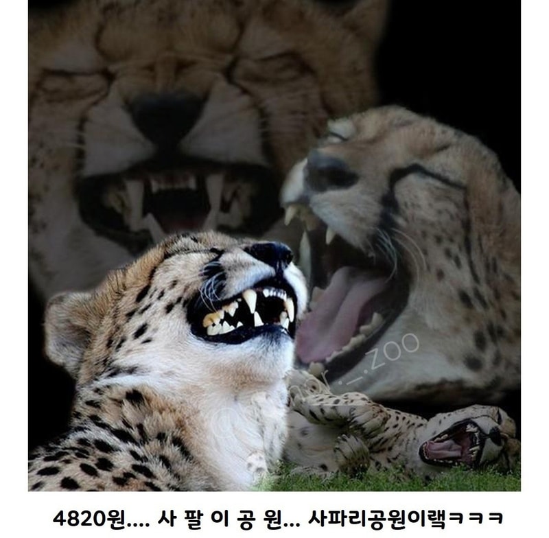 동물원 입장료3.jpg