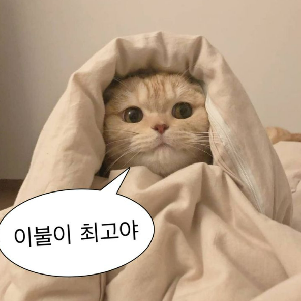 화면 캡처 2023-03-13 182213.png