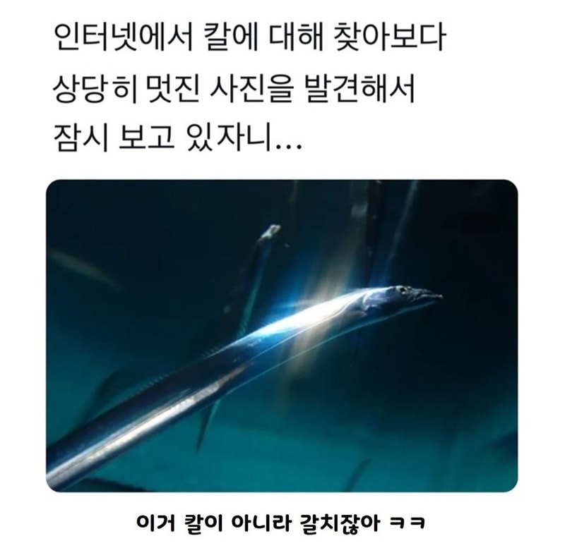 칼치1.jpg