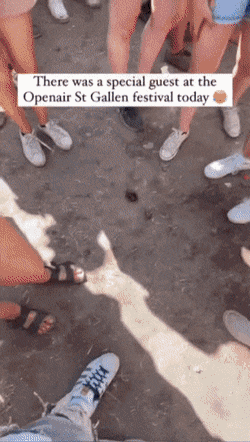 역대급_층간_소음_피해자_얼굴.gif