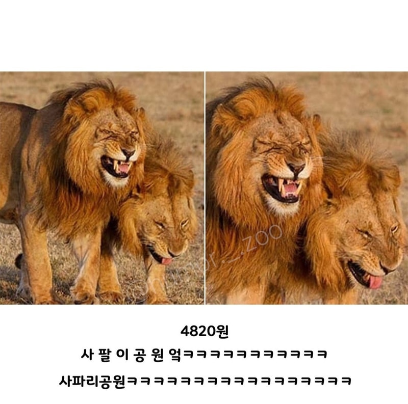 동물원 입장료2.jpg