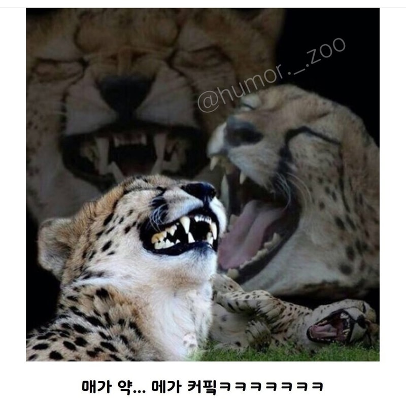 매3.jpg